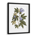 Lavanda Floral Ii - Vision Studio | Cuadro decorativo de Canvas Lab