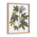 Lavanda Floral Ii - Vision Studio | Cuadro decorativo de Canvas Lab