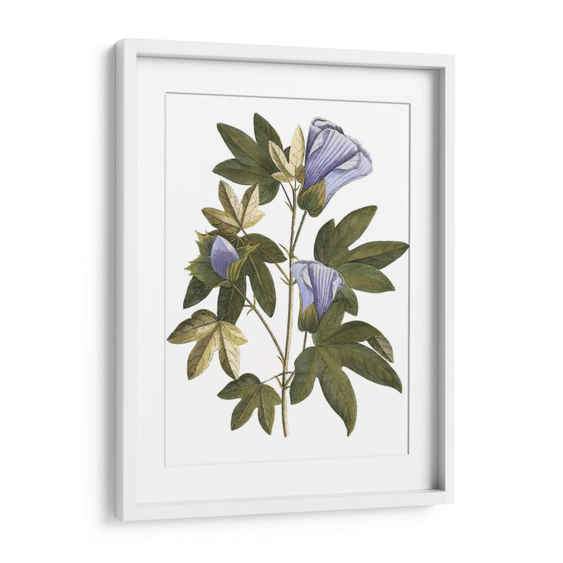 Lavanda Floral Ii - Vision Studio | Cuadro decorativo de Canvas Lab