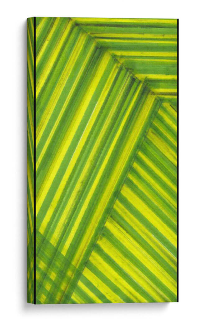 Estudio De Línea Verde - Charles McMullen | Cuadro decorativo de Canvas Lab