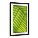 Estudio De Línea Verde - Charles McMullen | Cuadro decorativo de Canvas Lab