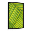 Estudio De Línea Verde - Charles McMullen | Cuadro decorativo de Canvas Lab