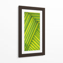 Estudio De Línea Verde - Charles McMullen | Cuadro decorativo de Canvas Lab