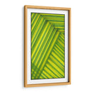 Estudio De Línea Verde - Charles McMullen | Cuadro decorativo de Canvas Lab
