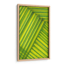 Estudio De Línea Verde - Charles McMullen | Cuadro decorativo de Canvas Lab