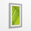 Estudio De Línea Verde - Charles McMullen | Cuadro decorativo de Canvas Lab