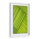 Estudio De Línea Verde - Charles McMullen | Cuadro decorativo de Canvas Lab