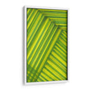 Estudio De Línea Verde - Charles McMullen | Cuadro decorativo de Canvas Lab