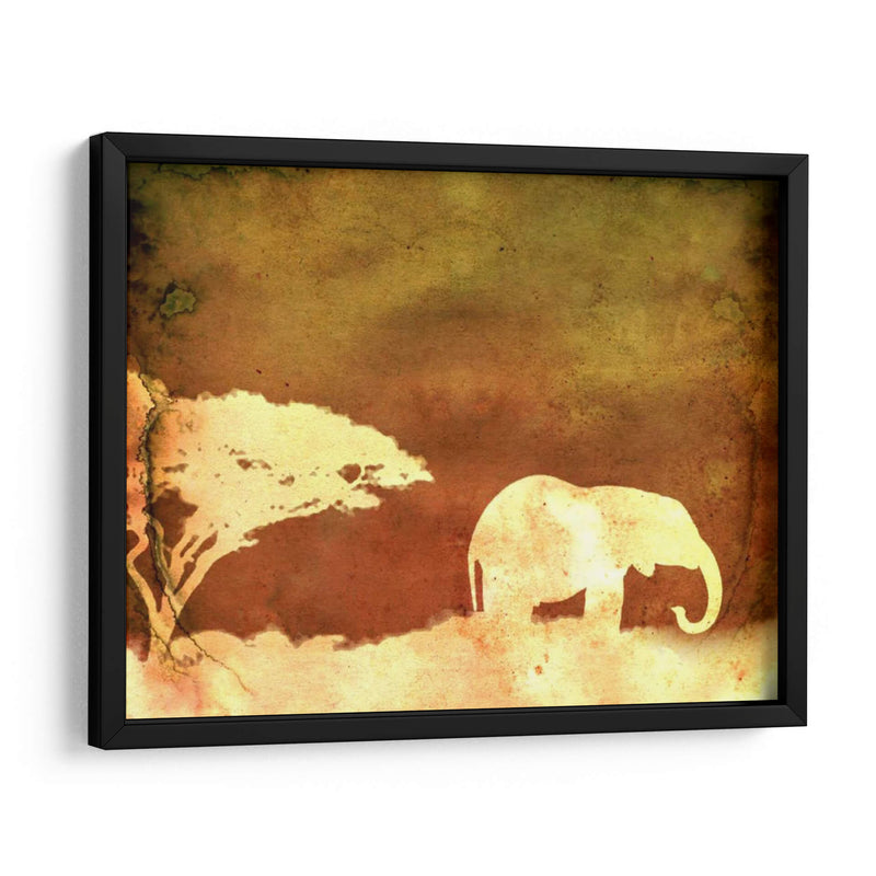 Safari Sunrise I - Pam Ilosky | Cuadro decorativo de Canvas Lab