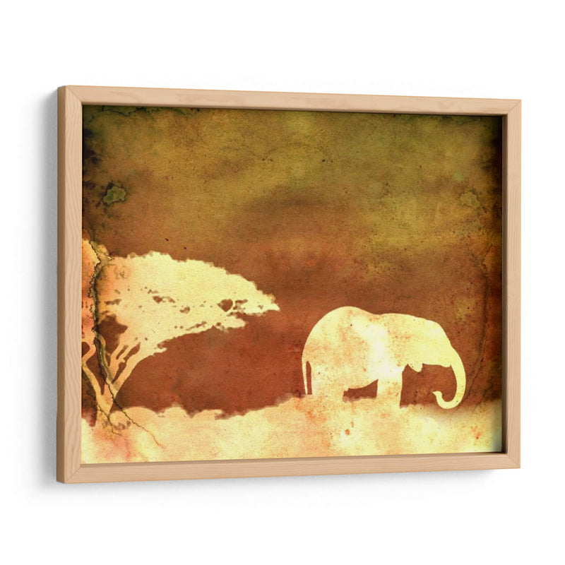 Safari Sunrise I - Pam Ilosky | Cuadro decorativo de Canvas Lab