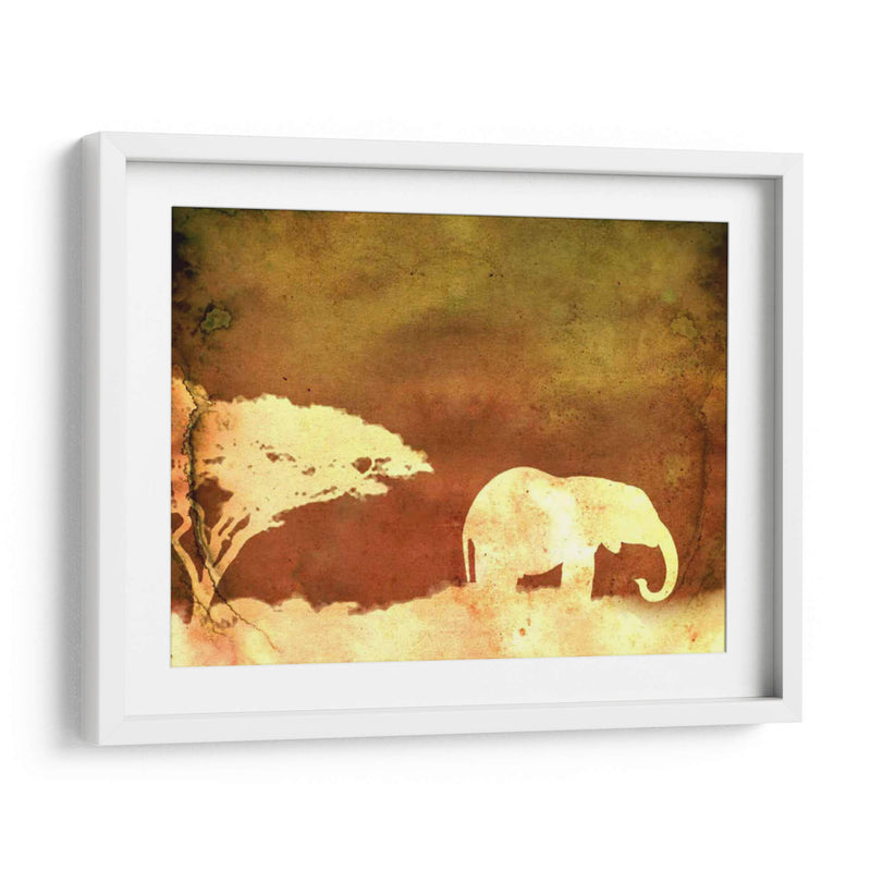 Safari Sunrise I - Pam Ilosky | Cuadro decorativo de Canvas Lab