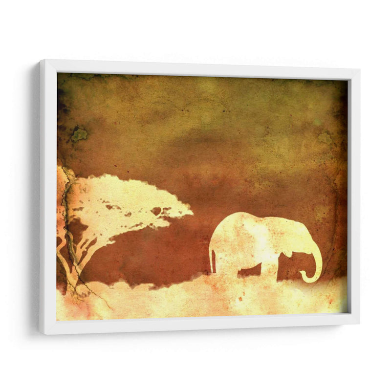 Safari Sunrise I - Pam Ilosky | Cuadro decorativo de Canvas Lab