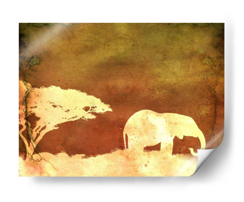 Safari Sunrise I - Pam Ilosky | Cuadro decorativo de Canvas Lab