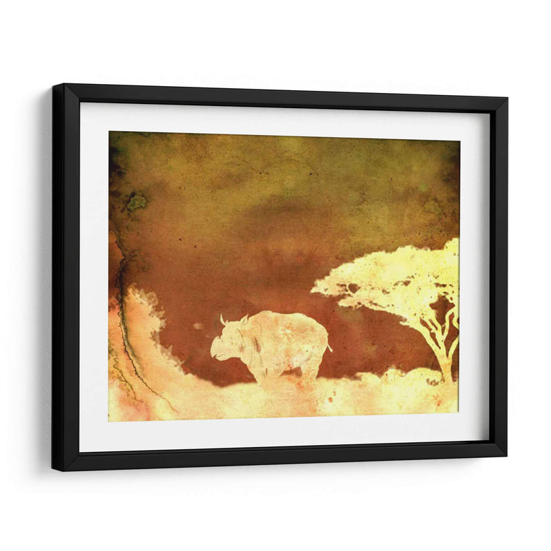 Safari Sunrise Ii - Pam Ilosky | Cuadro decorativo de Canvas Lab