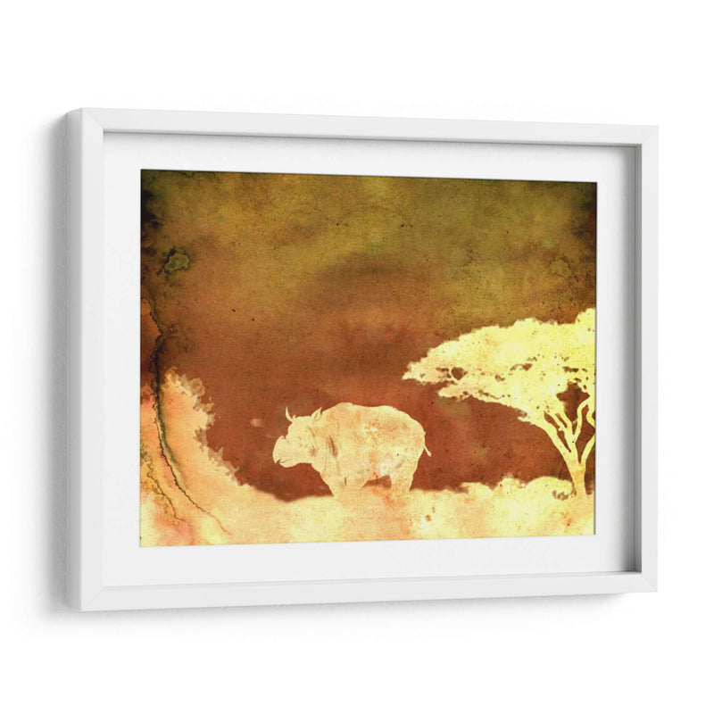 Safari Sunrise Ii - Pam Ilosky | Cuadro decorativo de Canvas Lab