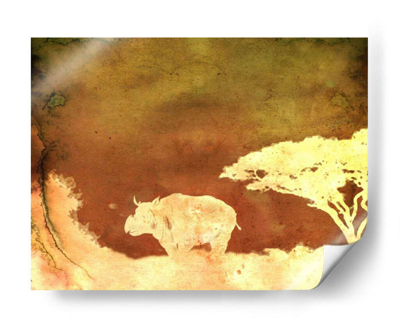 Safari Sunrise Ii - Pam Ilosky | Cuadro decorativo de Canvas Lab