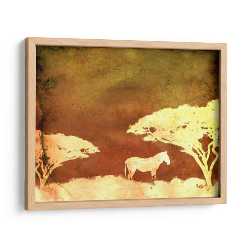 Safari Sunrise Iii - Pam Ilosky | Cuadro decorativo de Canvas Lab