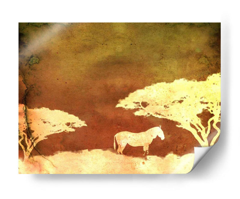 Safari Sunrise Iii - Pam Ilosky | Cuadro decorativo de Canvas Lab