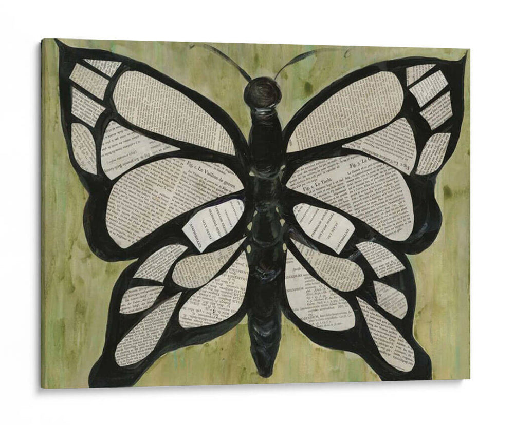 Texto De Mariposa - Lisa Choate | Cuadro decorativo de Canvas Lab