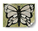 Texto De Mariposa - Lisa Choate | Cuadro decorativo de Canvas Lab