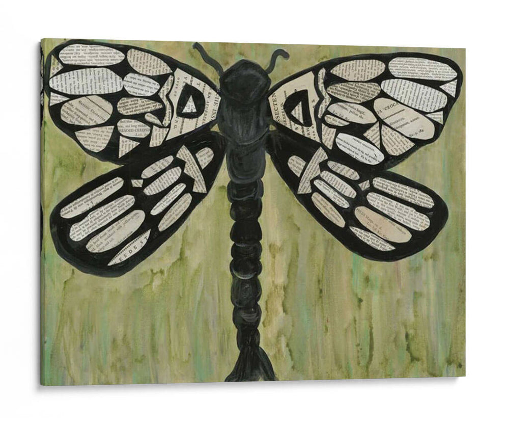 Texto De Libélula - Lisa Choate | Cuadro decorativo de Canvas Lab