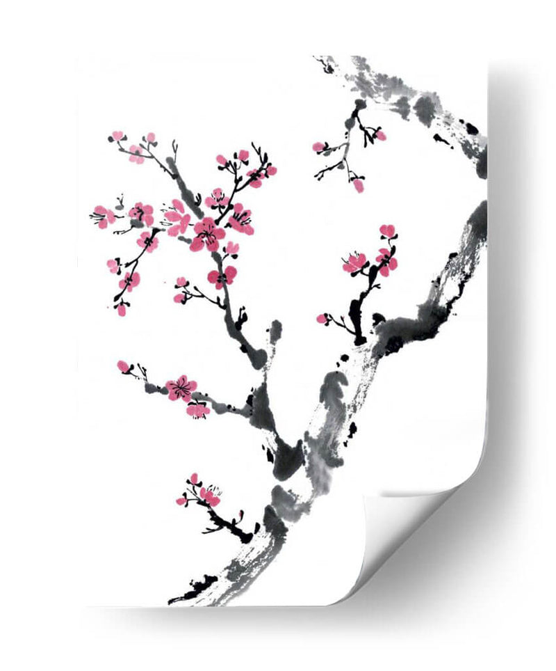 Plum Blossom Branch Ii - Nan Rae | Cuadro decorativo de Canvas Lab