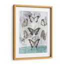 Mariposas Y Filigrana I - Jennifer Goldberger | Cuadro decorativo de Canvas Lab