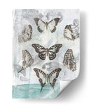 Mariposas Y Filigrana I - Jennifer Goldberger | Cuadro decorativo de Canvas Lab