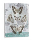 Mariposas Y Filigrana Ii - Jennifer Goldberger | Cuadro decorativo de Canvas Lab