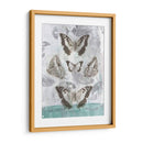 Mariposas Y Filigrana Ii - Jennifer Goldberger | Cuadro decorativo de Canvas Lab