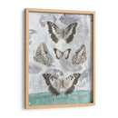 Mariposas Y Filigrana Ii - Jennifer Goldberger | Cuadro decorativo de Canvas Lab