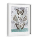 Mariposas Y Filigrana Ii - Jennifer Goldberger | Cuadro decorativo de Canvas Lab