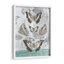 Mariposas Y Filigrana Ii - Jennifer Goldberger | Cuadro decorativo de Canvas Lab
