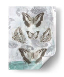 Mariposas Y Filigrana Ii - Jennifer Goldberger | Cuadro decorativo de Canvas Lab