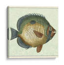 Mariposa Peces I - Vision Studio | Cuadro decorativo de Canvas Lab