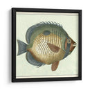 Mariposa Peces I - Vision Studio | Cuadro decorativo de Canvas Lab