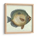 Mariposa Peces I - Vision Studio | Cuadro decorativo de Canvas Lab