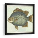 Mariposa Peces Ii - Vision Studio | Cuadro decorativo de Canvas Lab