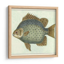 Mariposa Peces Ii - Vision Studio | Cuadro decorativo de Canvas Lab