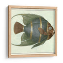 Angel Fish I - Vision Studio | Cuadro decorativo de Canvas Lab