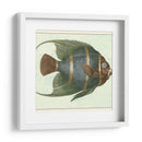 Angel Fish I - Vision Studio | Cuadro decorativo de Canvas Lab
