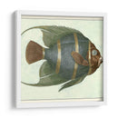 Angel Fish I - Vision Studio | Cuadro decorativo de Canvas Lab