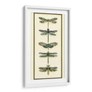 Colector De Libélula Ii - Chariklia Zarris | Cuadro decorativo de Canvas Lab