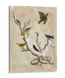 Los Ornitólogos Sueños Iii. - Naomi McCavitt | Cuadro decorativo de Canvas Lab