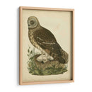 Antiguo Nozeman Búho I - Nozeman | Cuadro decorativo de Canvas Lab