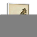 Antiguo Nozeman Owl Iii - Nozeman | Cuadro decorativo de Canvas Lab