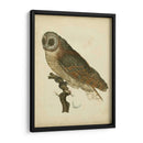 Antiguo Nozeman Owl Iv - Nozeman | Cuadro decorativo de Canvas Lab