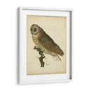 Antiguo Nozeman Owl Iv - Nozeman | Cuadro decorativo de Canvas Lab
