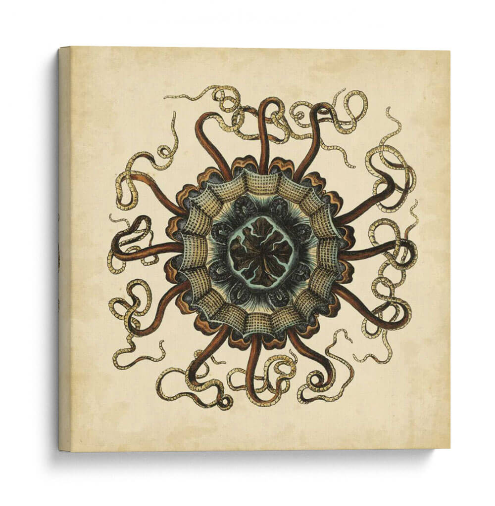 Gemas Del Mar I - Vision Studio | Cuadro decorativo de Canvas Lab