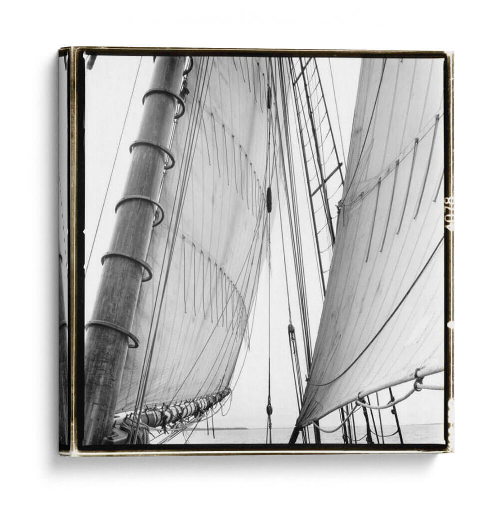 Bajo Vela Ii - Laura DeNardo | Cuadro decorativo de Canvas Lab